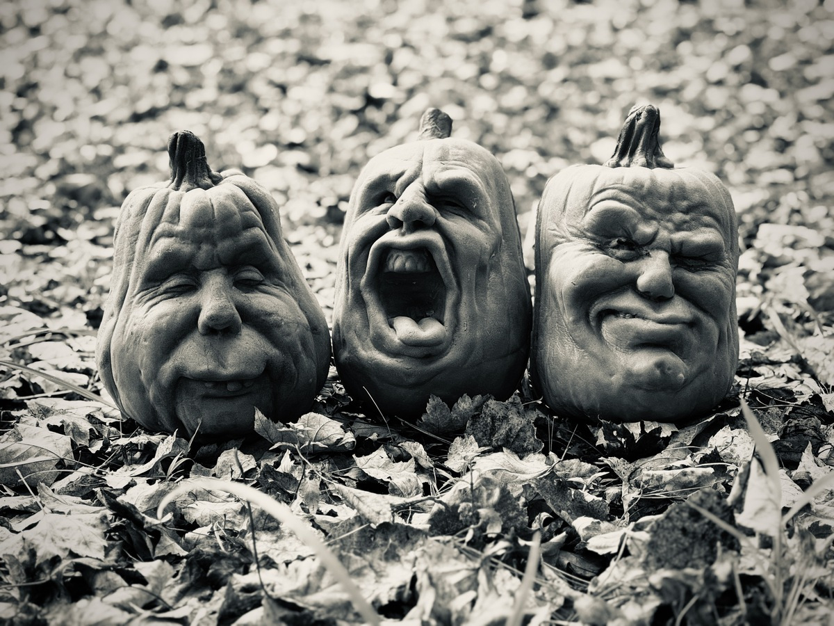 Three strange gourds